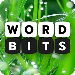 Word Bits